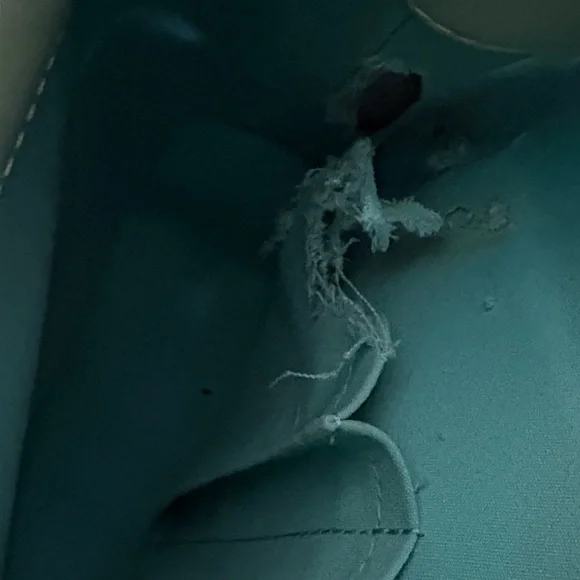 Authentic Vintage 1998 Louis Vuitton Biscayne Bag in Peppermint - Picture 6 of 16